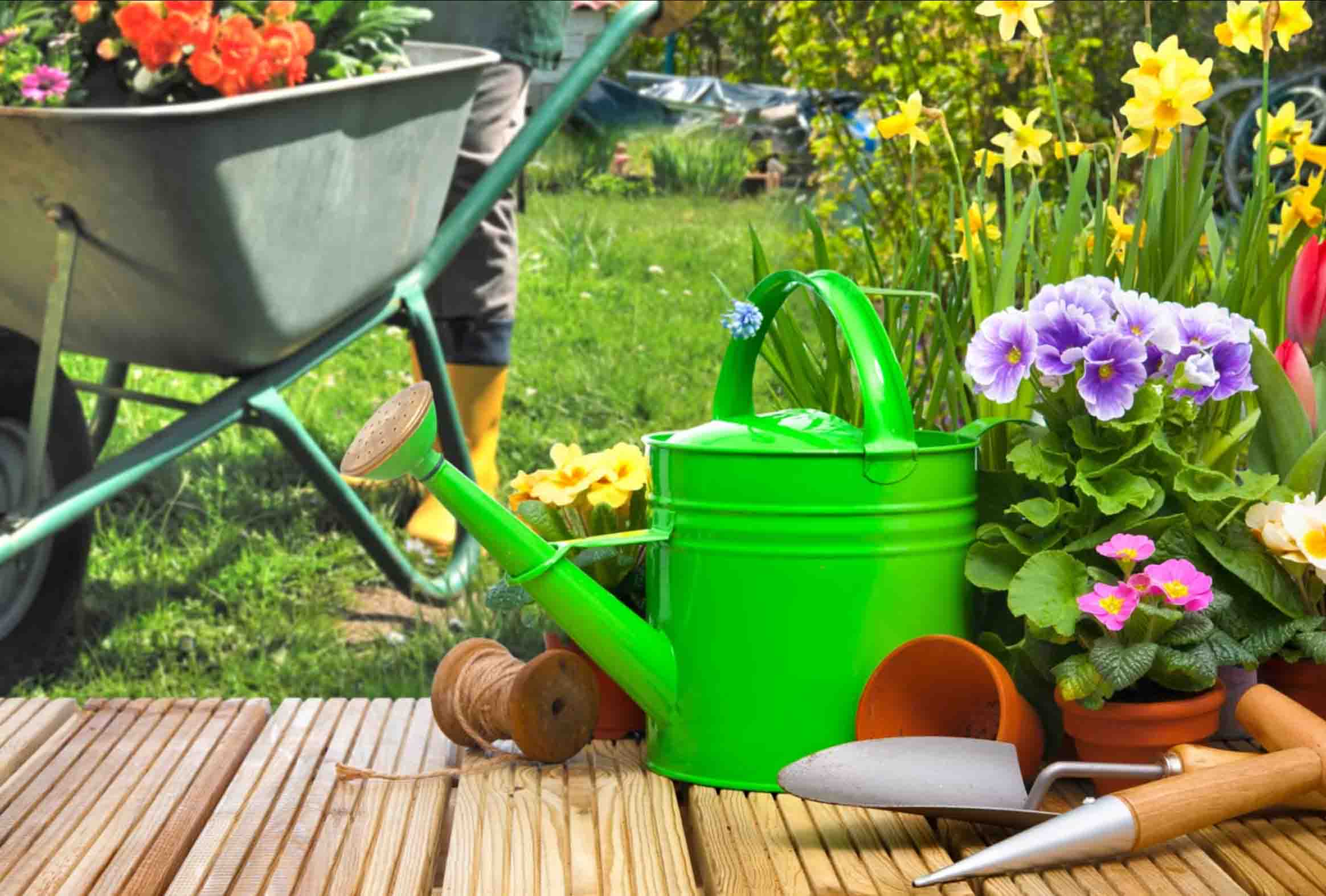 Garden - Direct from China Factory