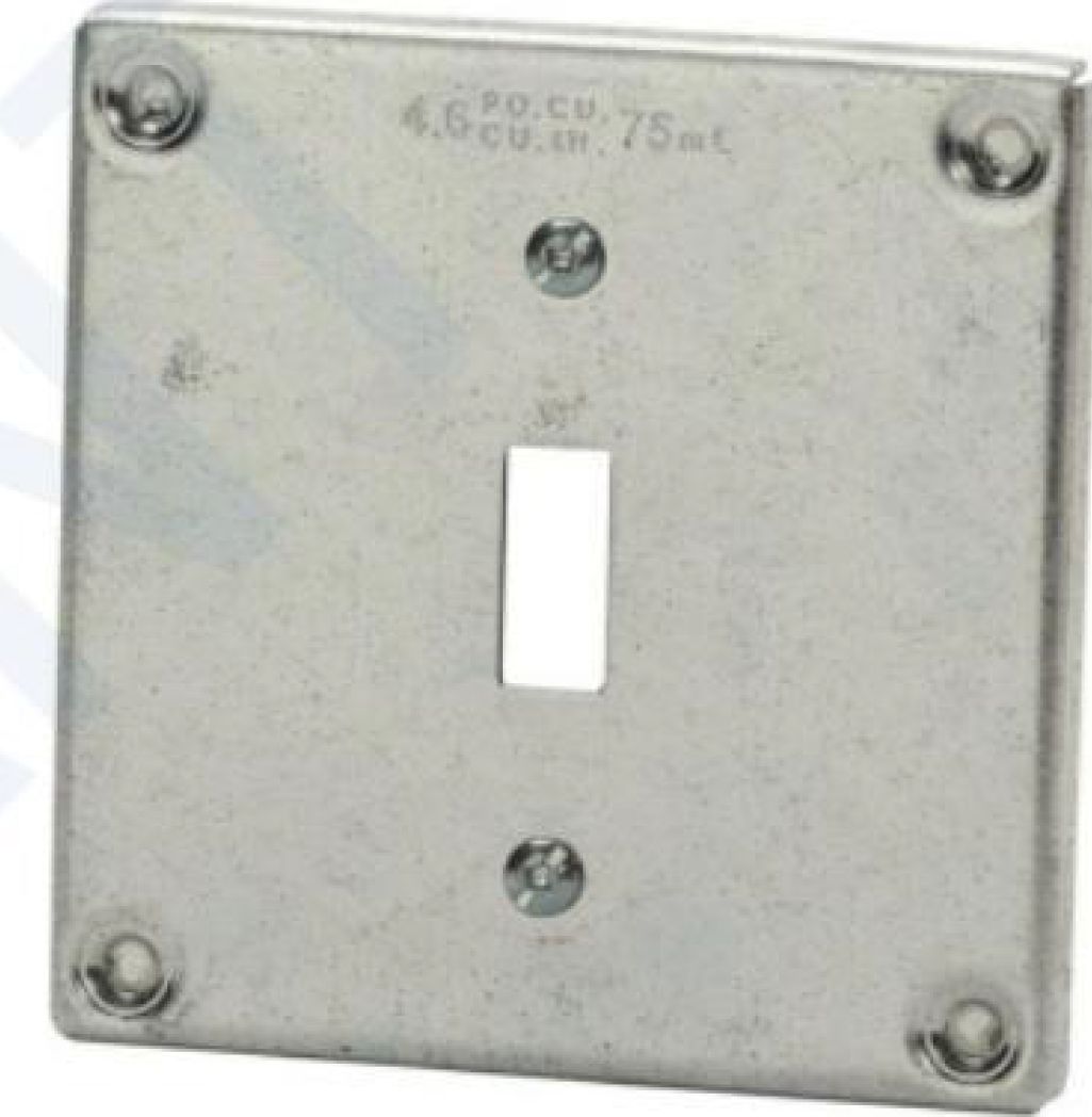 Surface Covers (4.6 cu. in.), One toggle switch