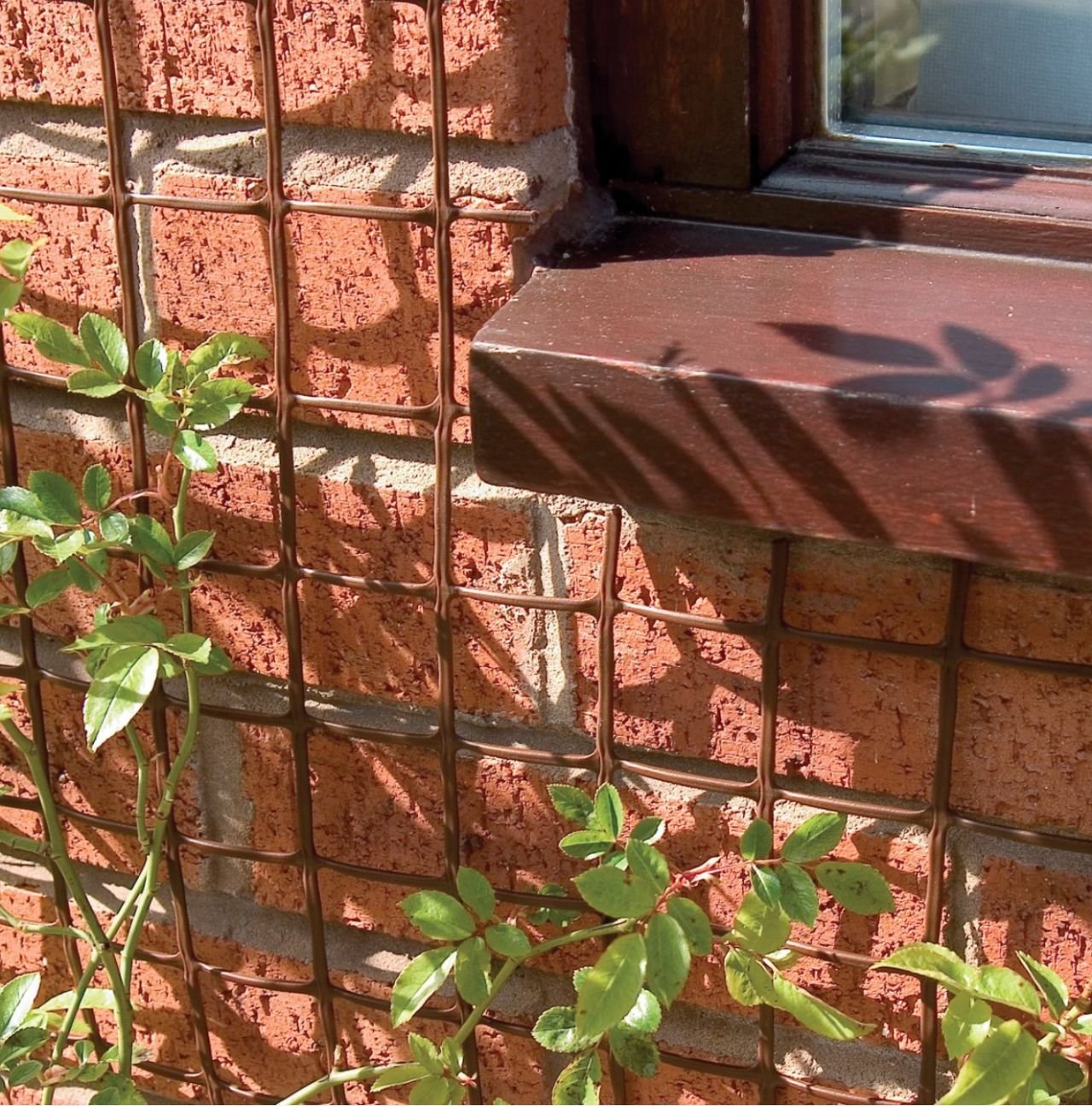 Climbing Plant Support Mesh 50mm mesh x 0.5m