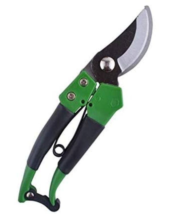 Pruning Shear
