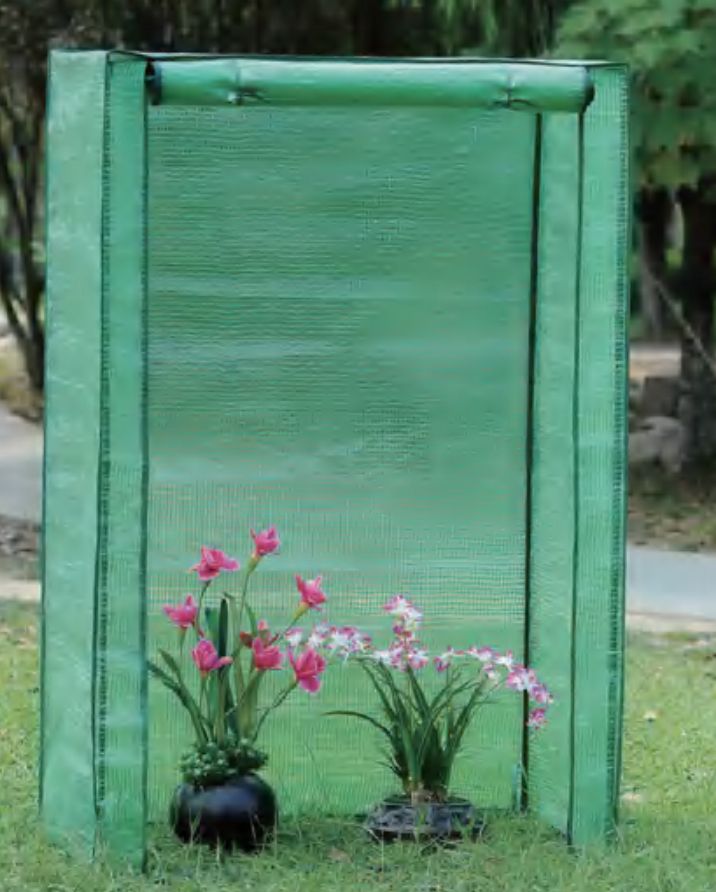 Tomato planting greenhouse