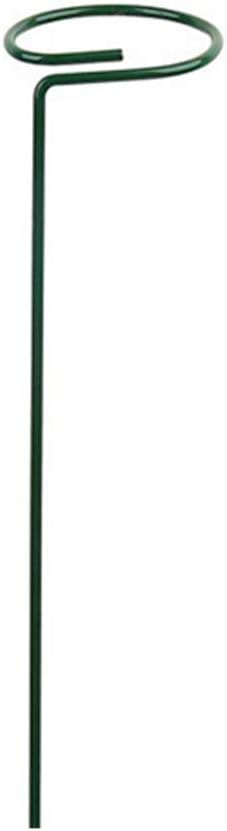 Plant Stake Bracket Household Seeding Growth Shape Support Holder 16inch