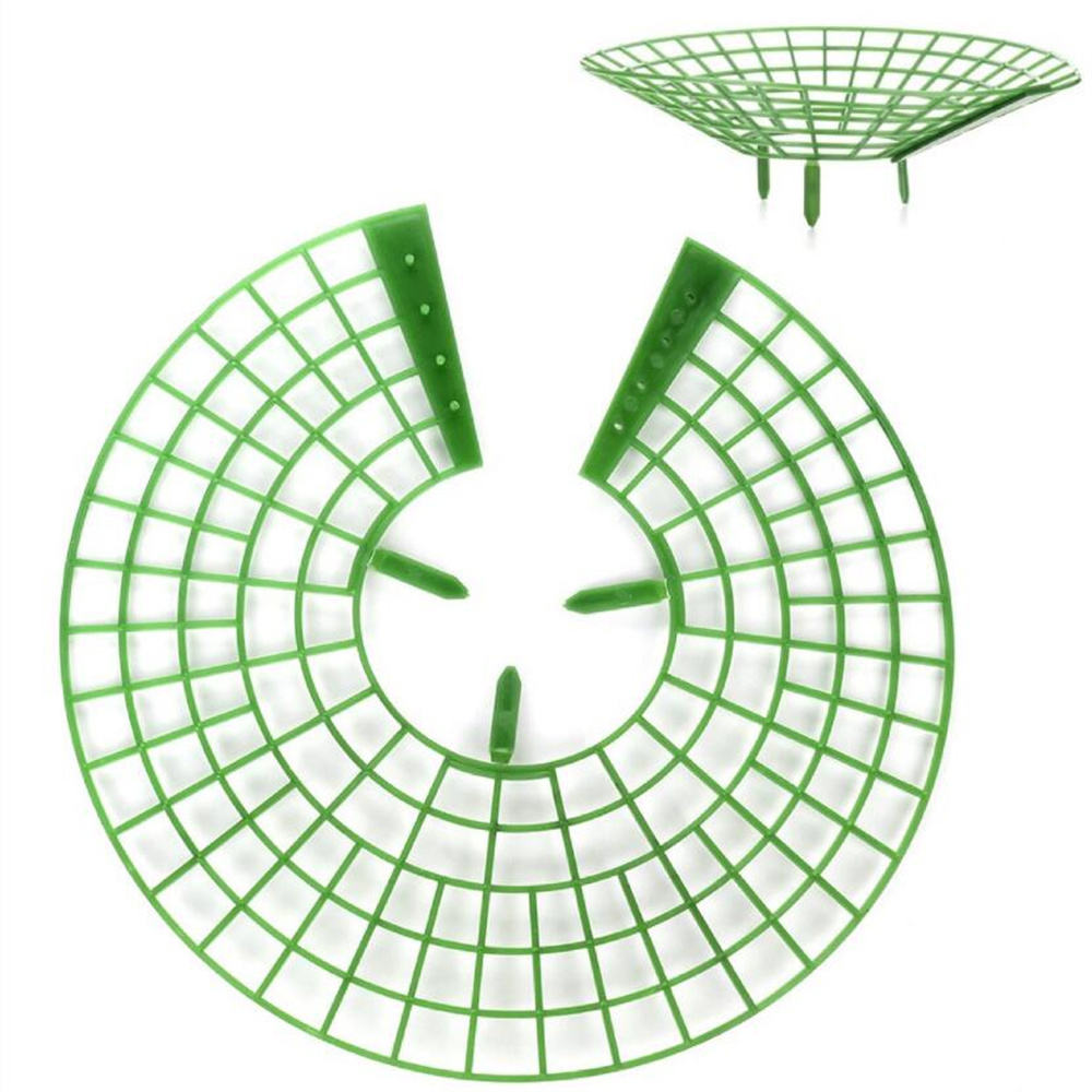 Strawberry Plant Support Rack