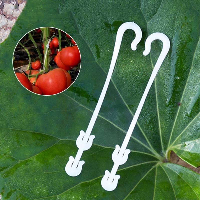 Plant Tomato Support J Hook Clips