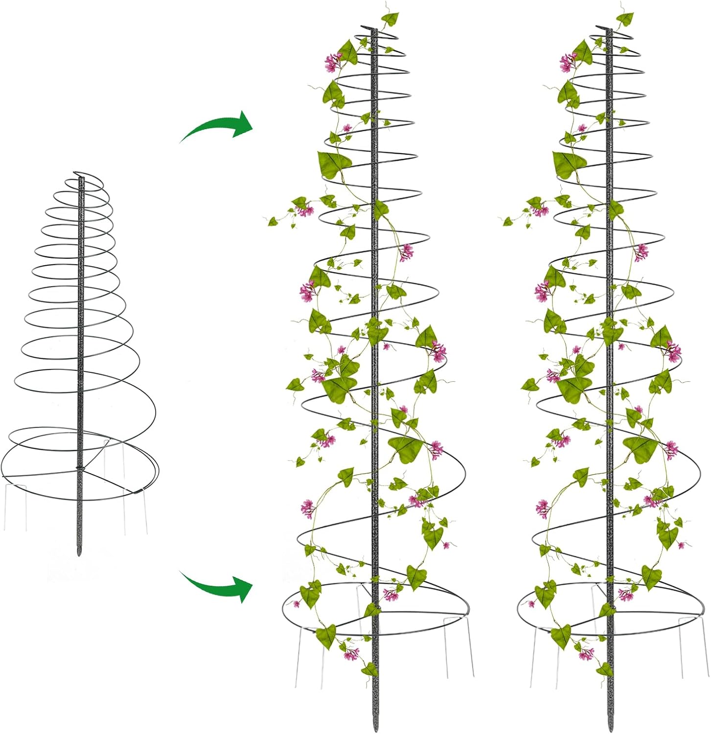 Trellis for Climbing Plants Outdoor