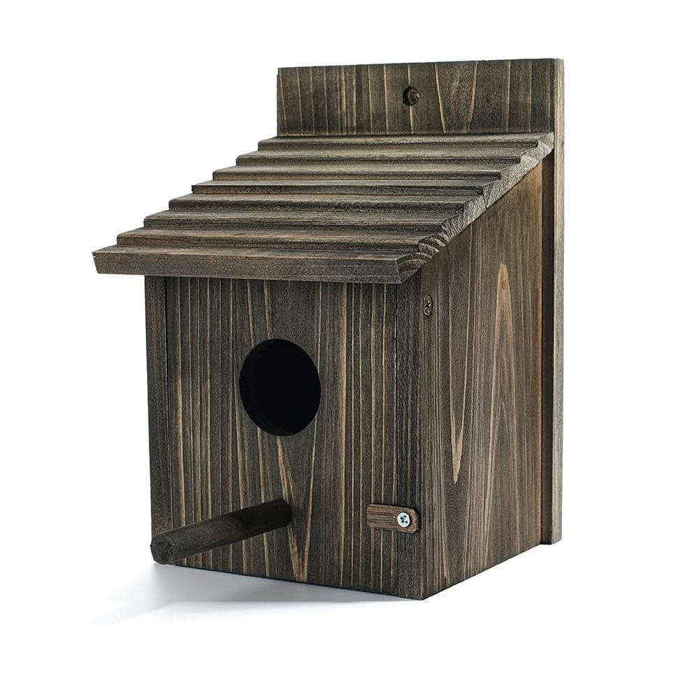 Bird House