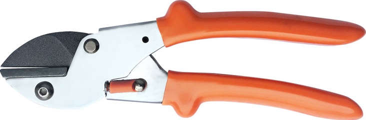 pruning scissors