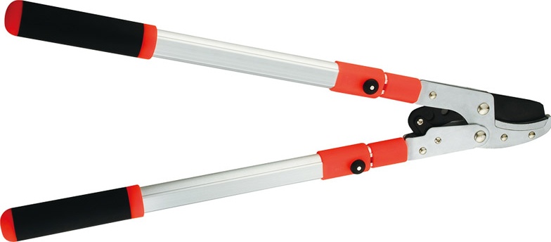 Telescopic Branch Shears