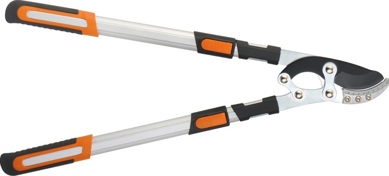 Telescopic Branch Shears