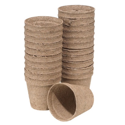 Paper Pulp Plant Pot