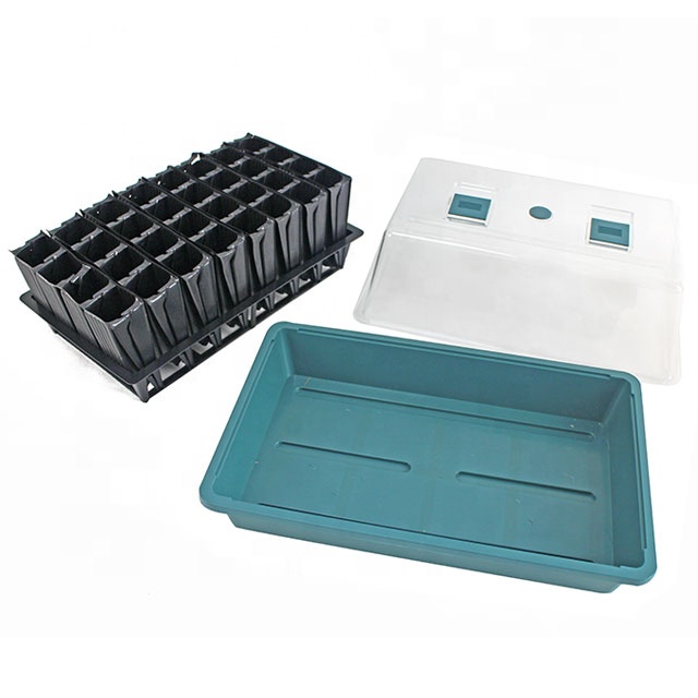 Plant Seed Starter Propagator