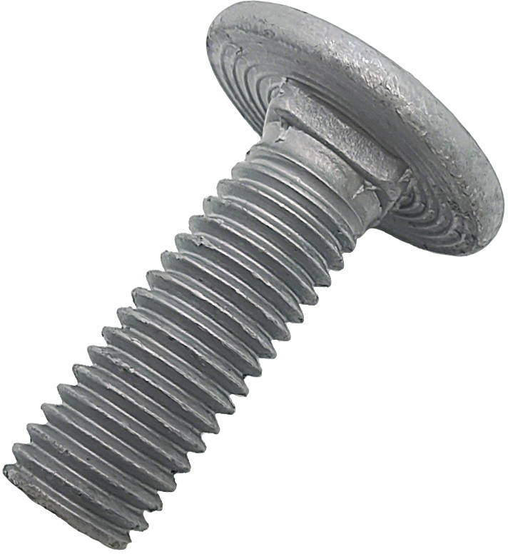 Carriage Bolt