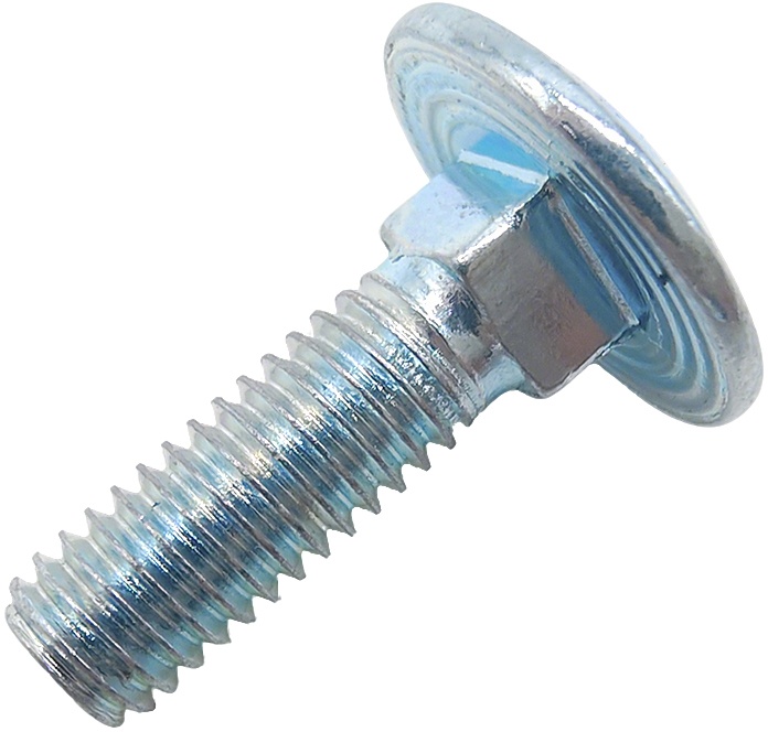 Carriage Bolt