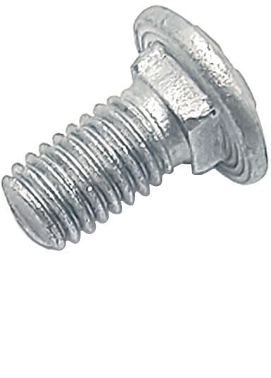 Carriage Bolt