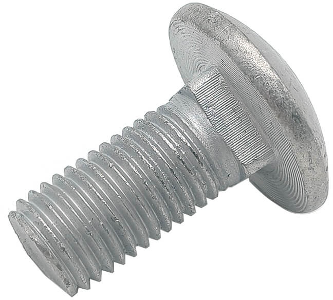 Carriage Bolt