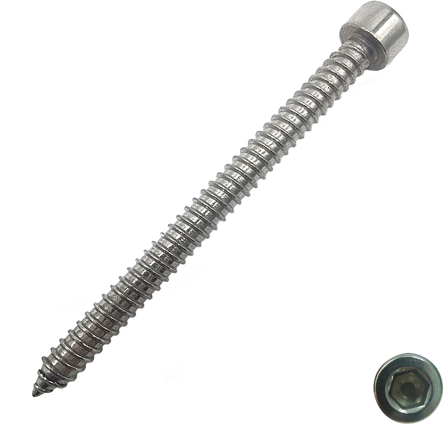 Hex Allen Socket Head Cap Self Tapping Screw