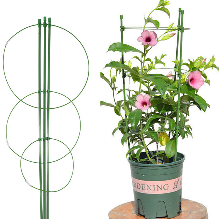 American Style Trellis Plant Support